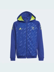 Худи и свитшоты Adidas модель GT9404 Фото