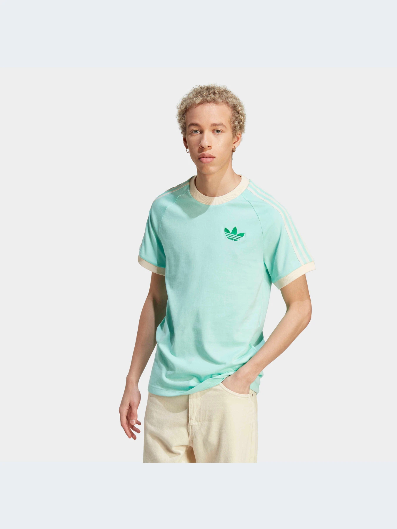 Футболки и поло Adidas Adicolor модель IP6972 Футболки и поло Adidas Adicolor модель IP6972 Фото