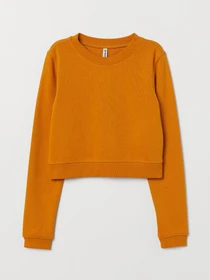 Худи и свитшоты H&M модель 55144 Фото