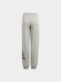 Брюки Adidas модель GN4016 Фото