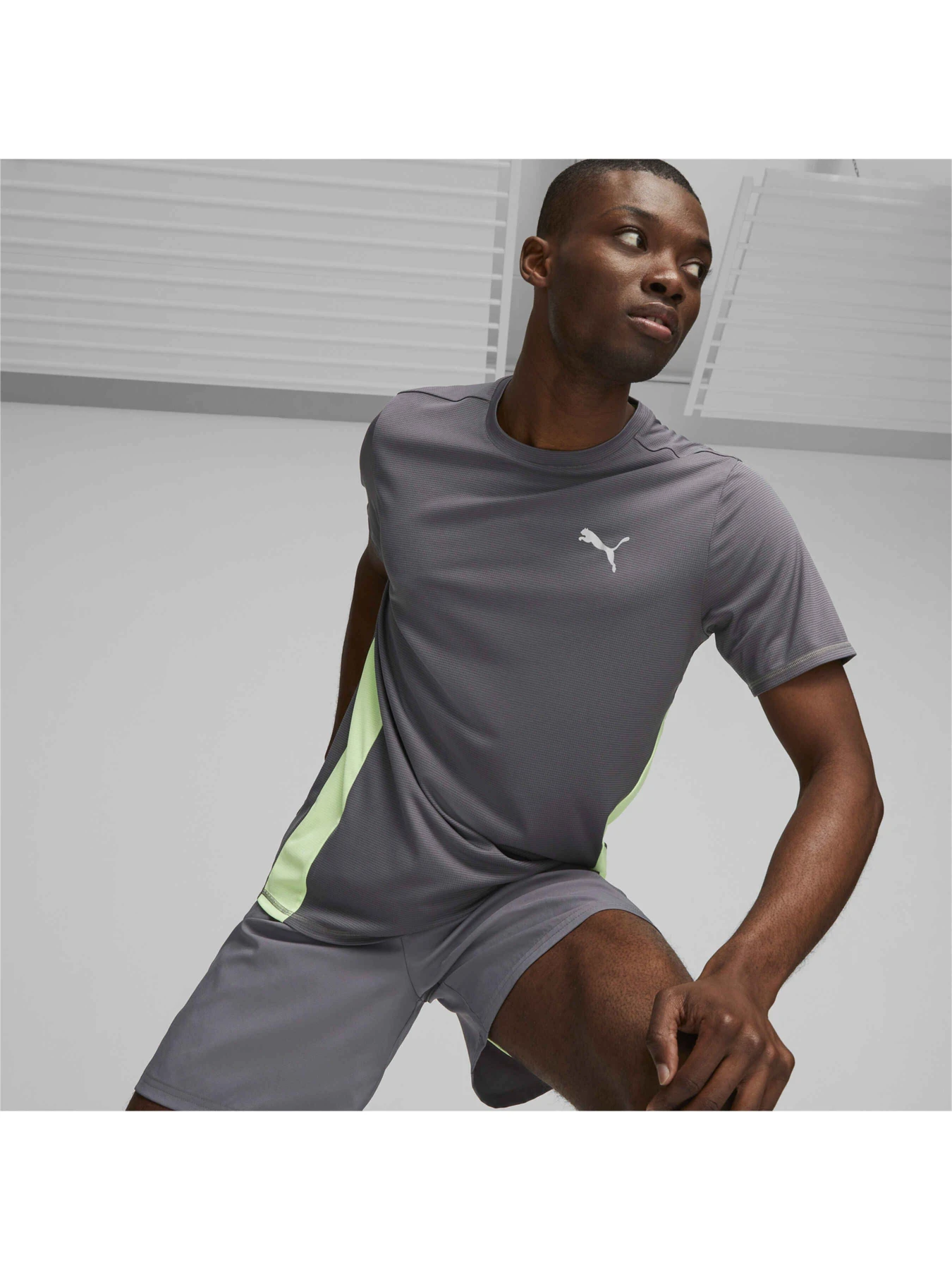Футболки и поло PUMA Run Favorite Ss Tee M модель 523150 Футболки и поло PUMA Run Favorite Ss Tee M модель 523150 Фото