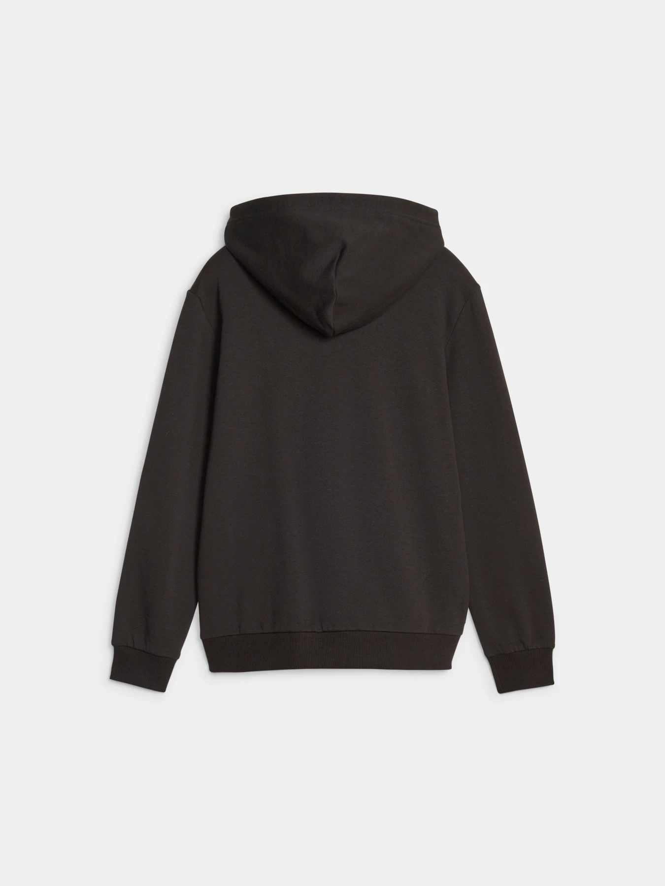 Худи и свитшоты PUMA Downtown Logo Hoodie модель 621595 Фото