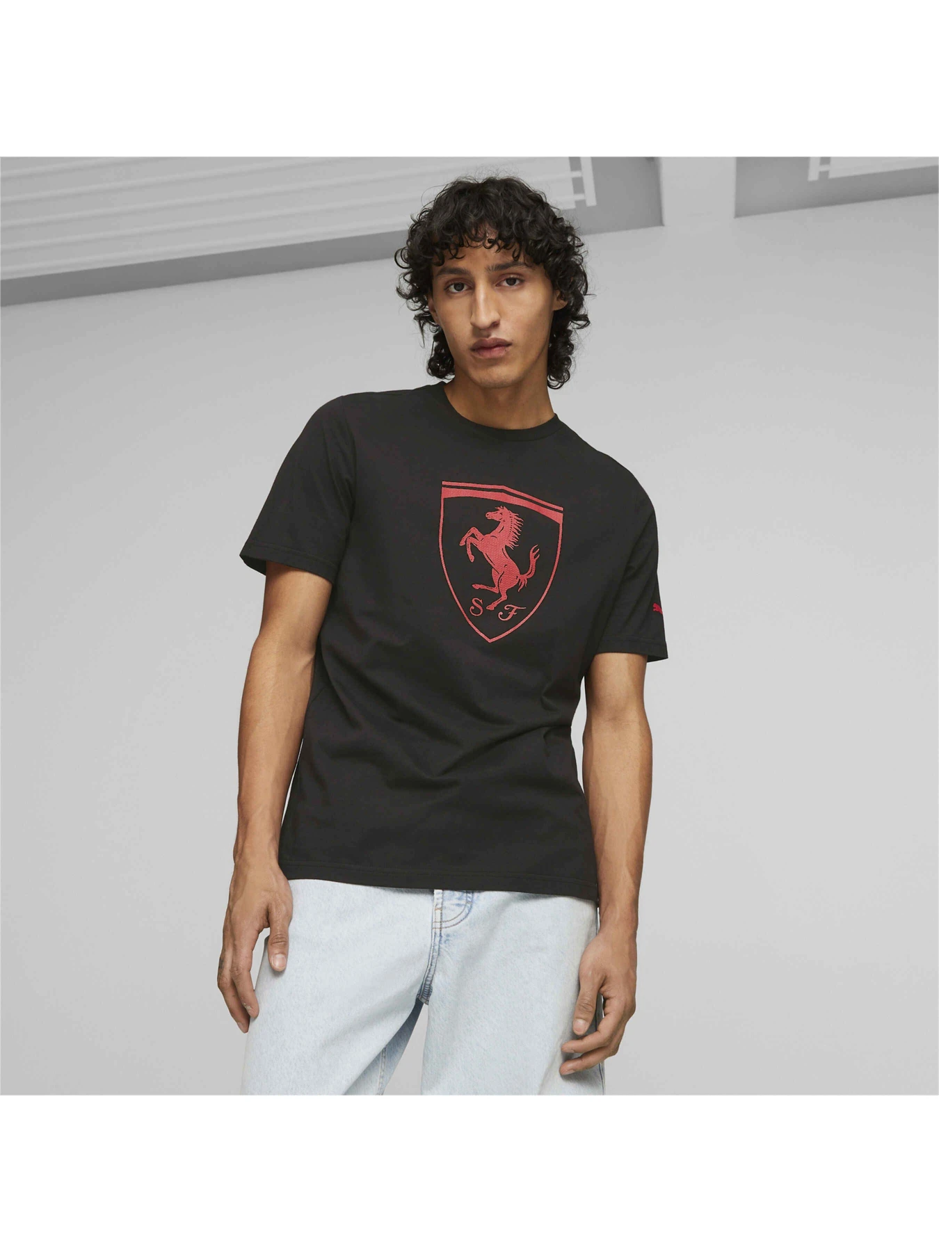 Футболки и поло PUMA Ferrari Race Tnl Bg Shld Tee модель 620951 Фото