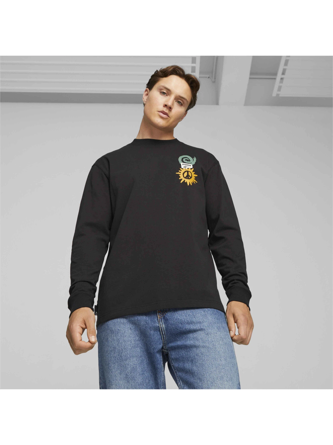 Худи и свитшоты PUMA Downtown Ls Tee модель 621271 Фото