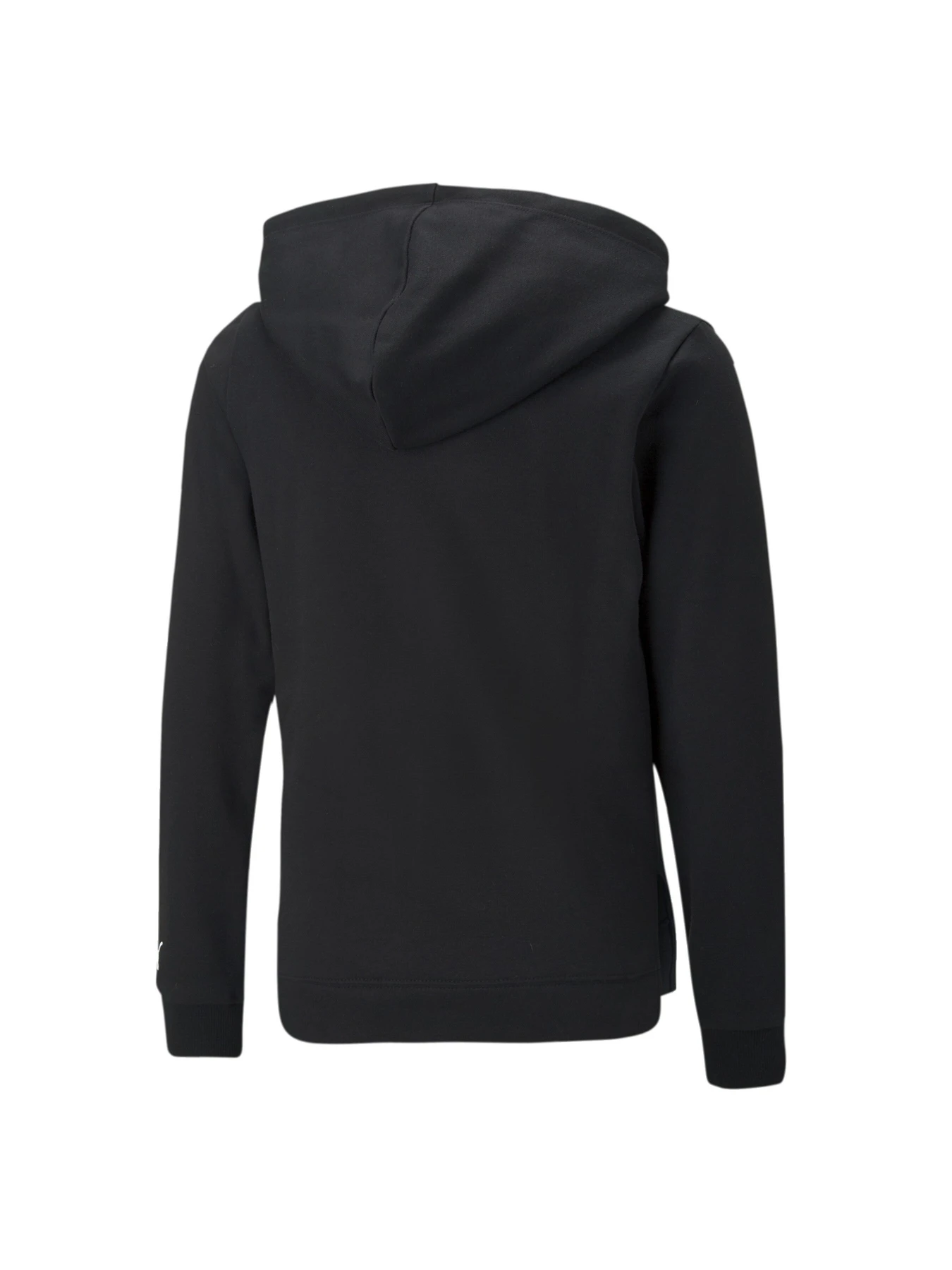 Худи и свитшоты PUMA Alpha Hoodie модель 670217 Худи и свитшоты PUMA Alpha Hoodie модель 670217 Фото
