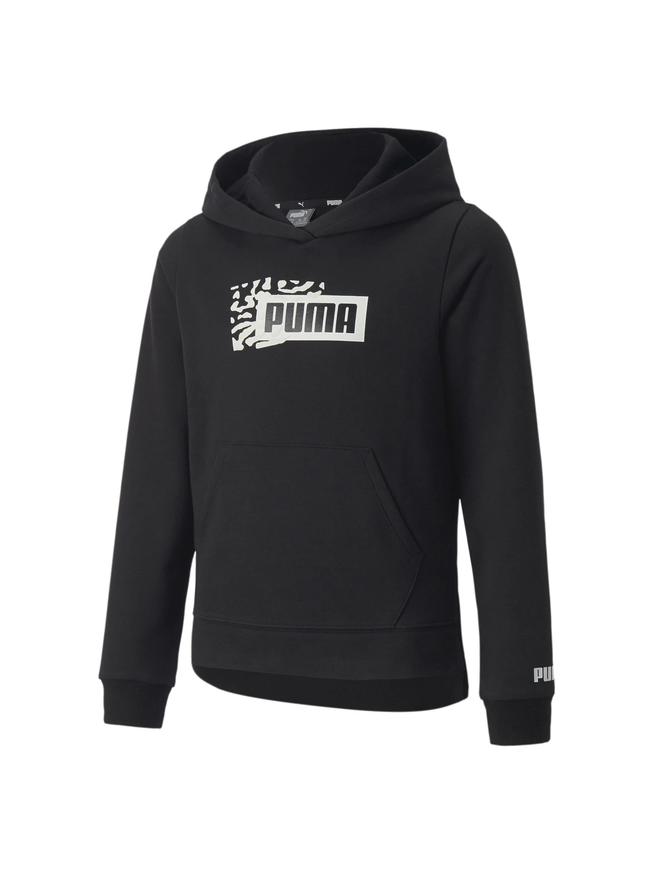 Худи и свитшоты PUMA Alpha Hoodie модель 670217 Худи и свитшоты PUMA Alpha Hoodie модель 670217 Фото