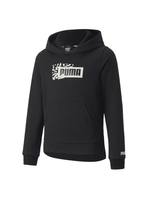 Худи и свитшоты PUMA Alpha Hoodie модель 670217 Фото