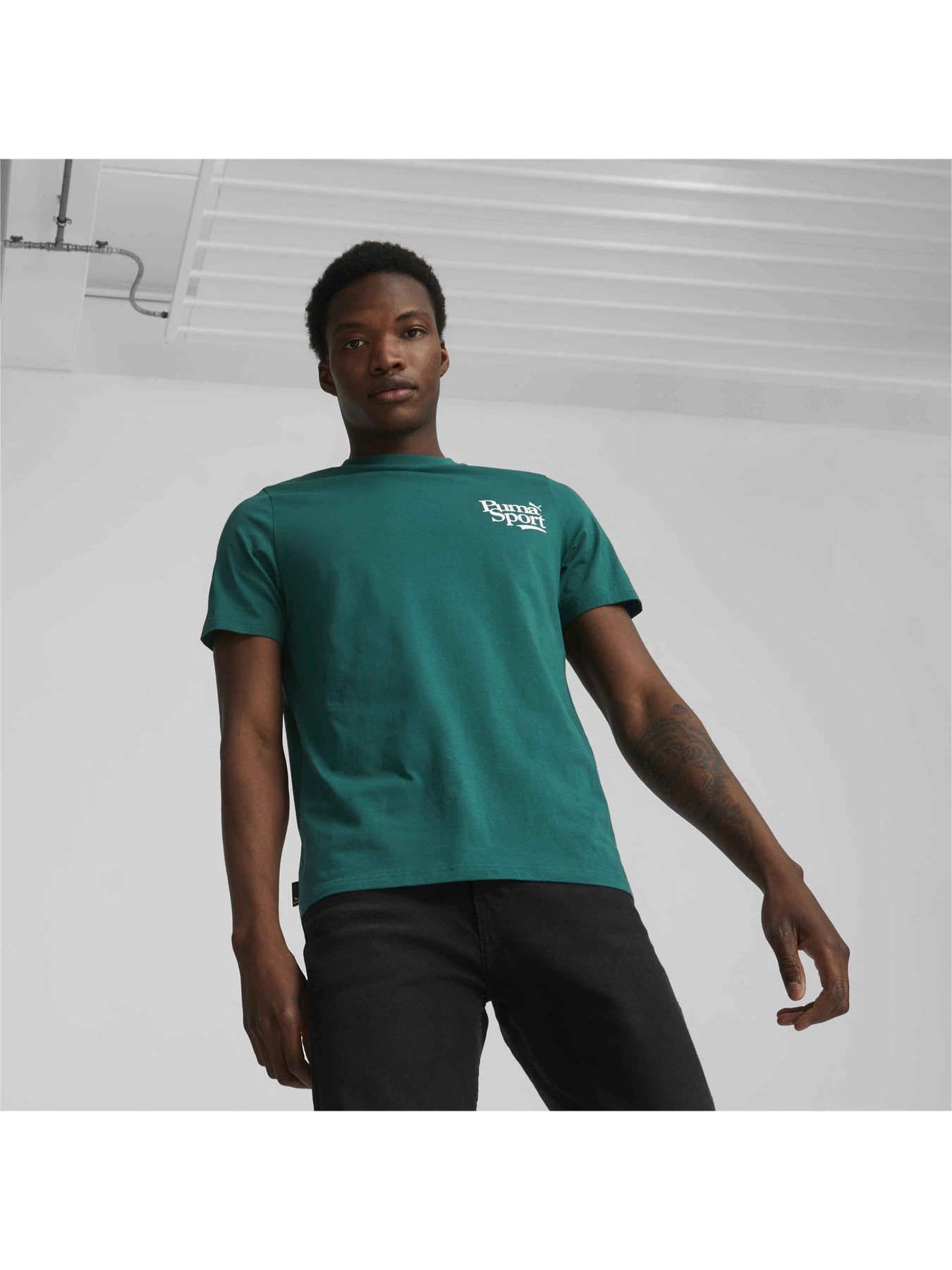 Футболки і поло PUMA Graphics Legacy Tee модель 622739 Футболки і поло PUMA Graphics Legacy Tee модель 622739 Фото