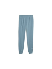 Брюки PUMA Pl Ess Pants модель 621030 Фото