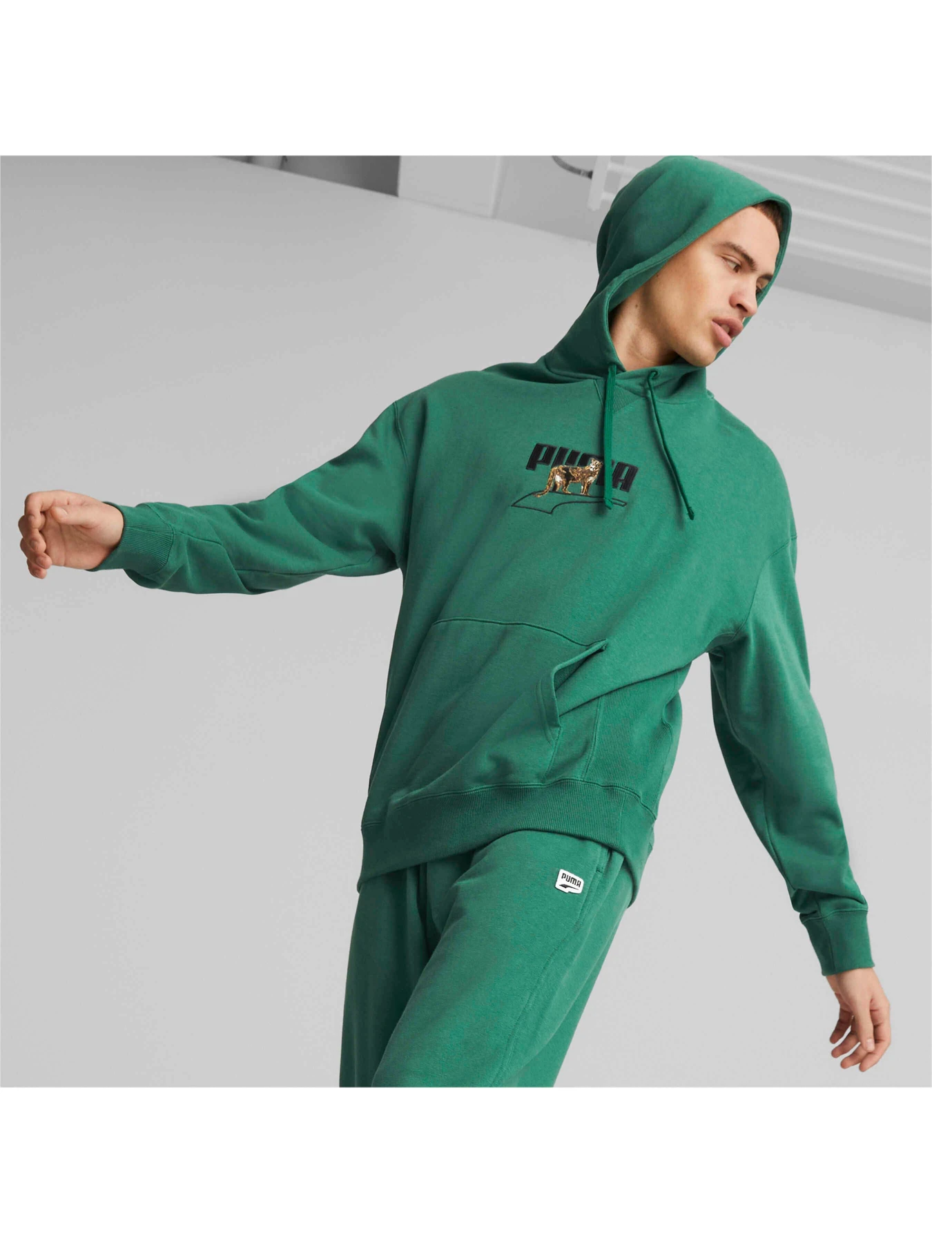 Худі та світшоти PUMA Downtown Graphic Hoodie модель 538244 Фото
