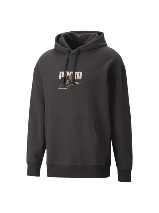 Худі та світшоти PUMA Downtown Graphic Hoodie модель 538244 Фото