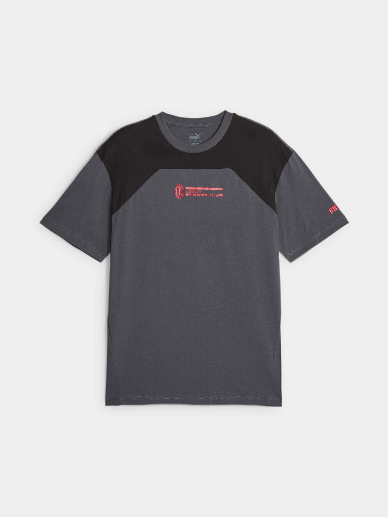 Футболки і поло PUMA Acm Ftblculture Tee модель 772327 Футболки і поло PUMA Acm Ftblculture Tee модель 772327 Фото