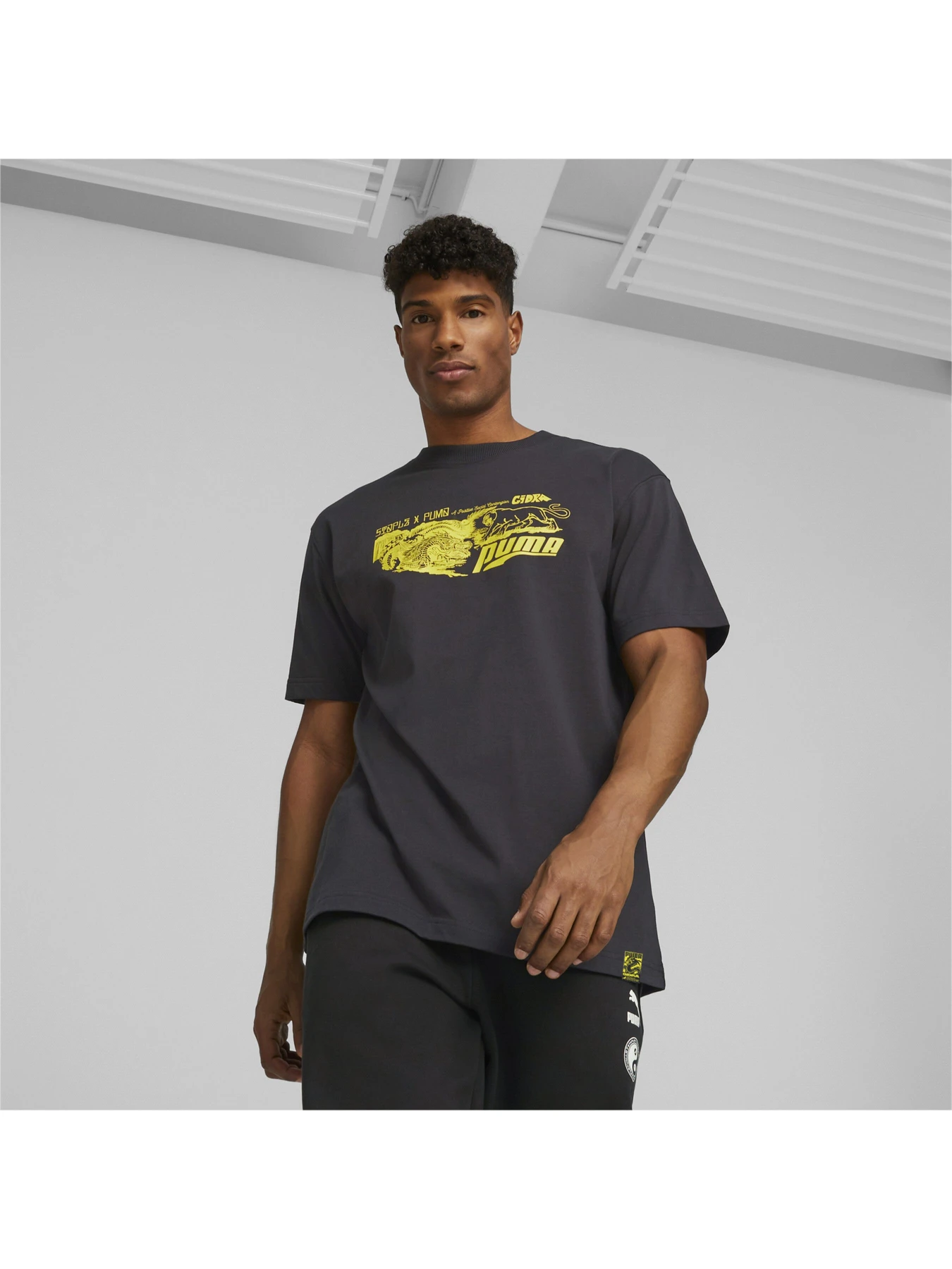 Футболки і поло PUMA x Staple Graphic Tee модель 539935 Футболки і поло PUMA x Staple Graphic Tee модель 539935 Фото