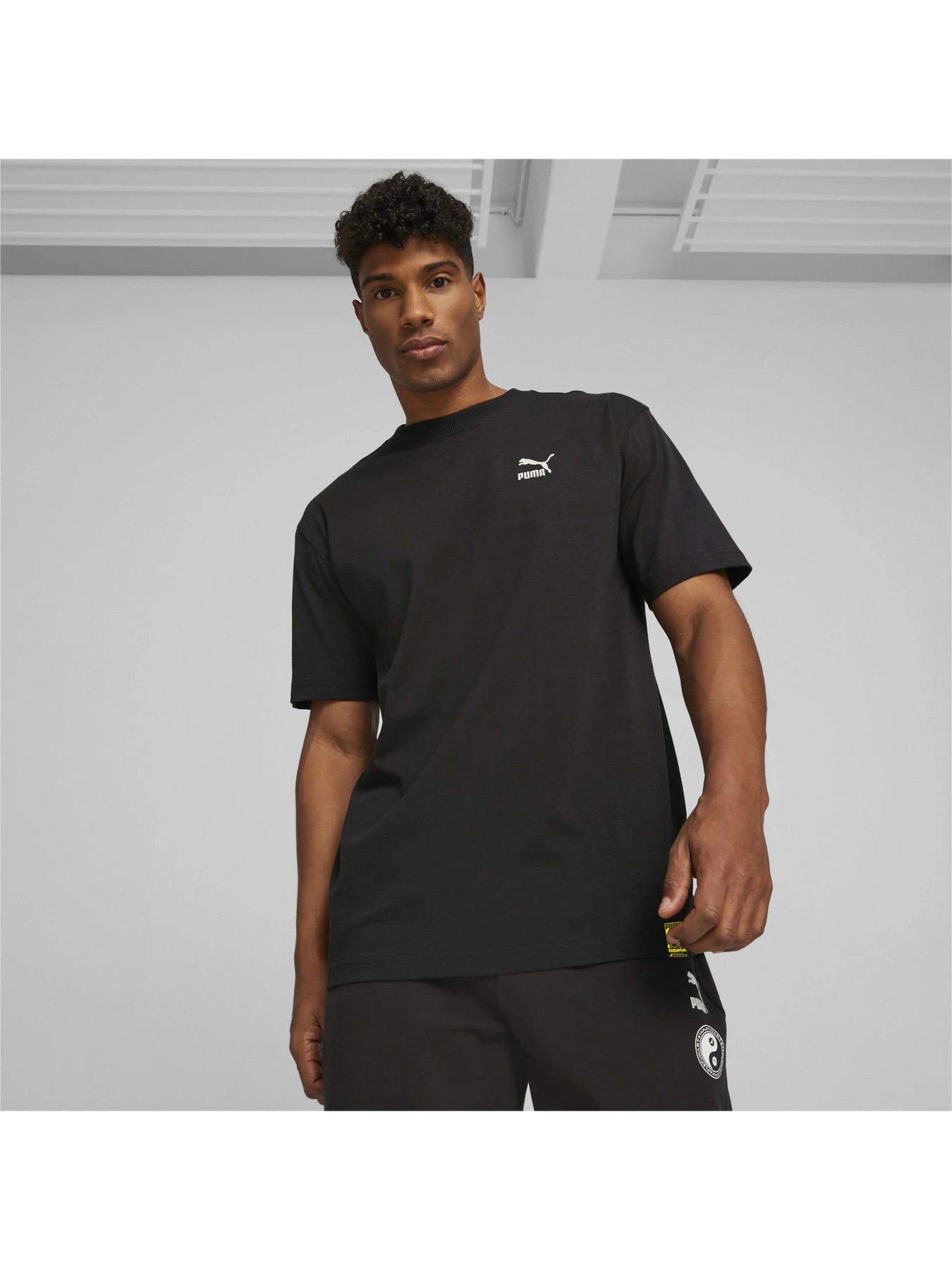 Футболки і поло PUMA x Staple Tee модель 539824 Футболки і поло PUMA x Staple Tee модель 539824 Фото