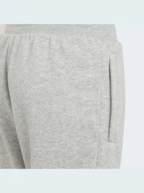 Брюки Adidas модель H32407 Фото