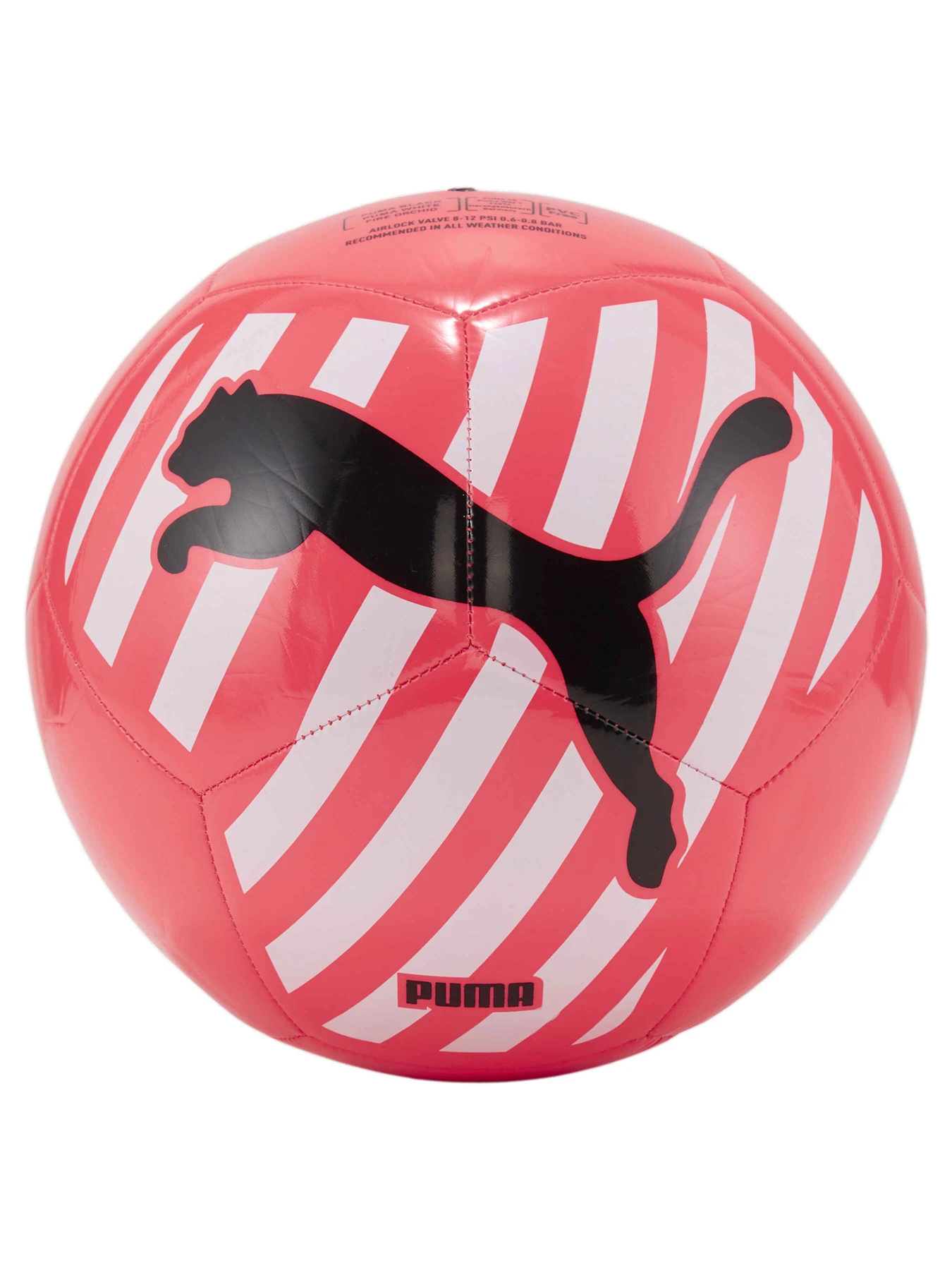 Мячи PUMA Big Cat Ball модель 083994 Фото