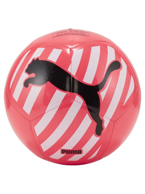 М'ячі PUMA Big Cat Ball модель 083994 Фото