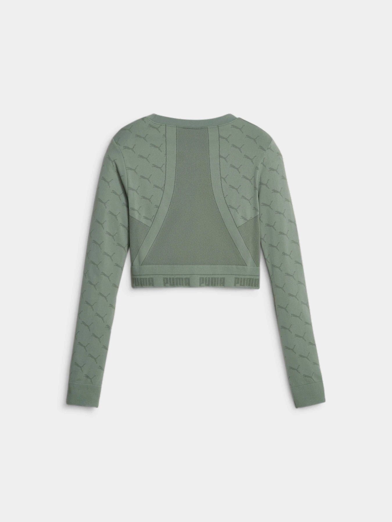 Футболки и поло PUMA Evoknit Longsleeve Tee модель 673092 Фото