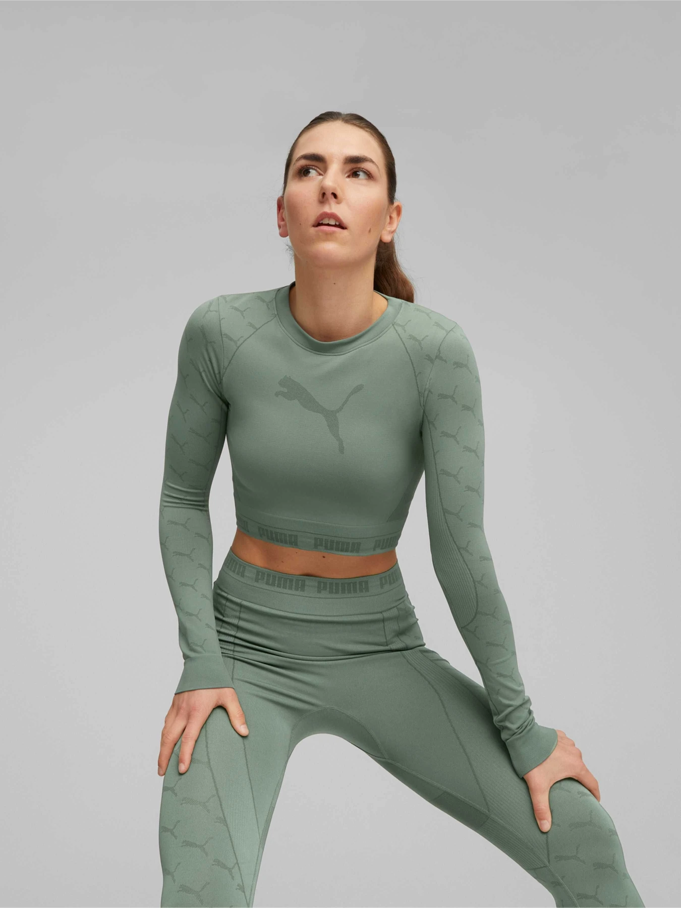 Футболки и поло PUMA Evoknit Longsleeve Tee модель 673092 Фото