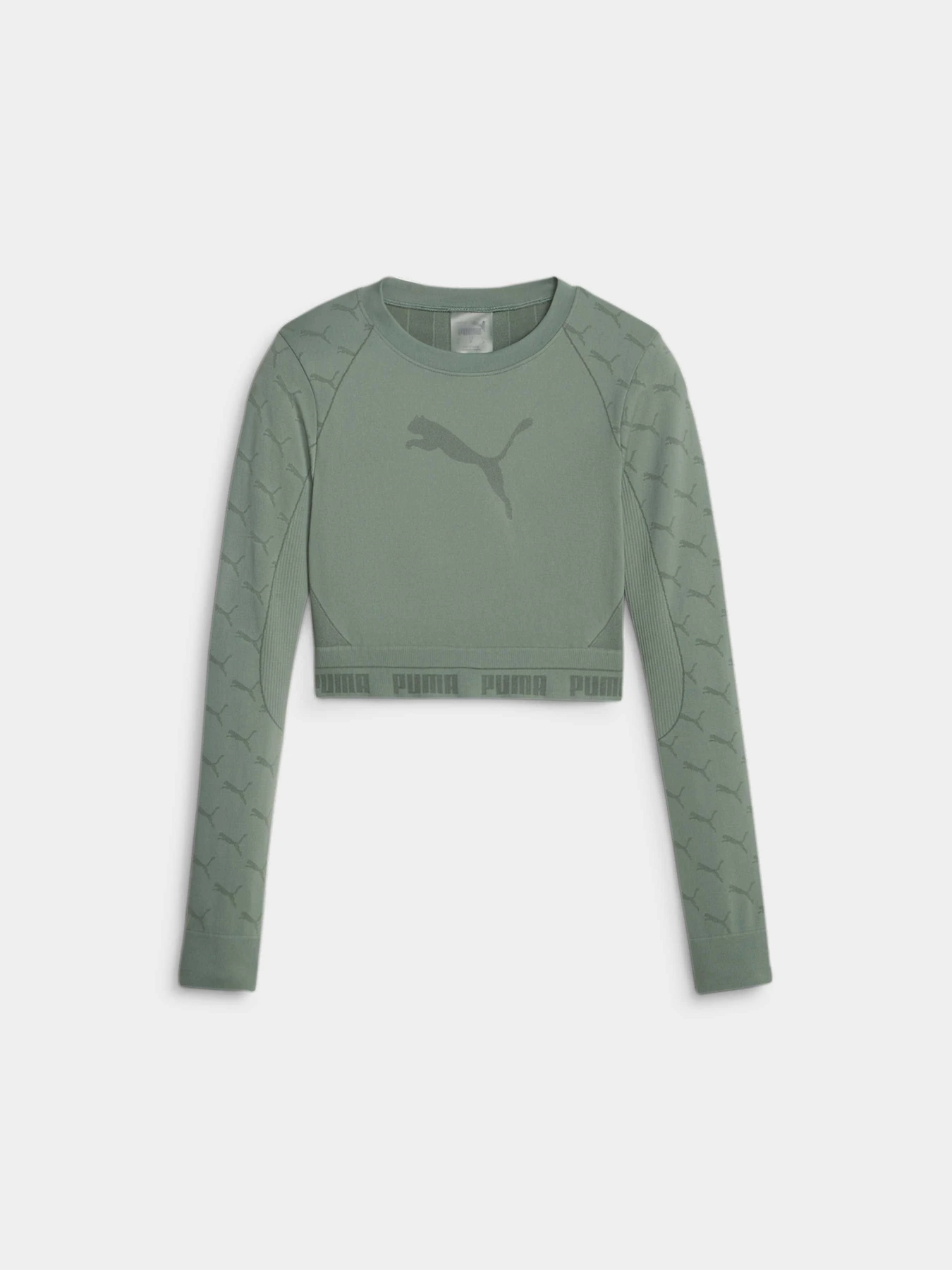 Футболки и поло PUMA Evoknit Longsleeve Tee модель 673092 Фото