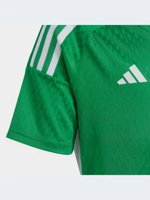 Футболки и поло Adidas Tiro модель IC7473 Фото