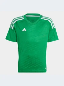 Футболки и поло Adidas Tiro модель IC7473 Фото