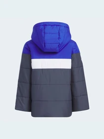 Куртки и дубленки Adidas модель IL6081 Фото