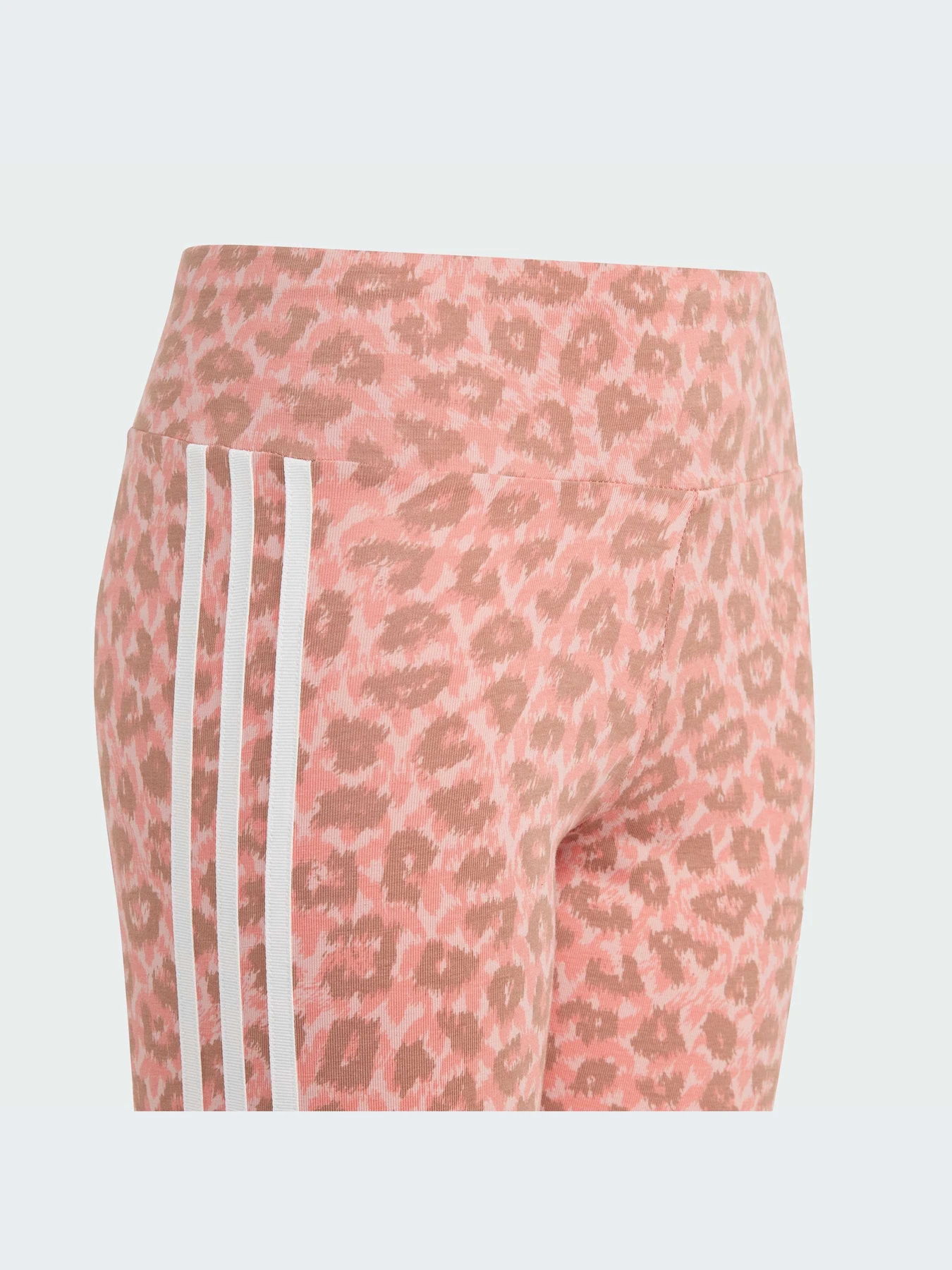 Брюки Adidas модель IJ0757 Брюки Adidas модель IJ0757 Фото
