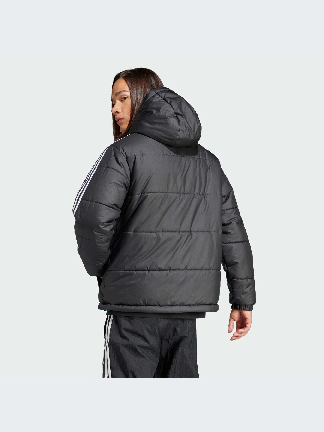 Куртки и дубленки Adidas Adicolor модель HZ0690 Куртки и дубленки Adidas Adicolor модель HZ0690 Фото