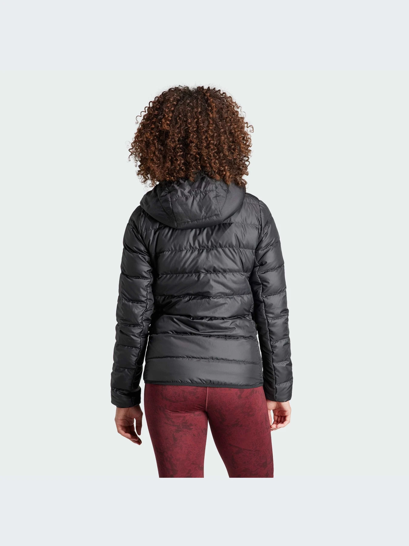 Куртки и дубленки Adidas модель IP6034 Фото