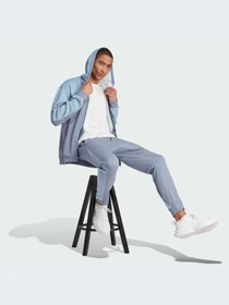 Худи и свитшоты Adidas модель IJ8978 Фото