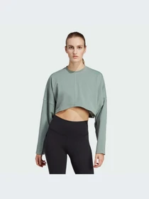 Худи и свитшоты Adidas модель HR5086 Фото