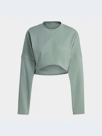 Худи и свитшоты Adidas модель HR5086 Фото