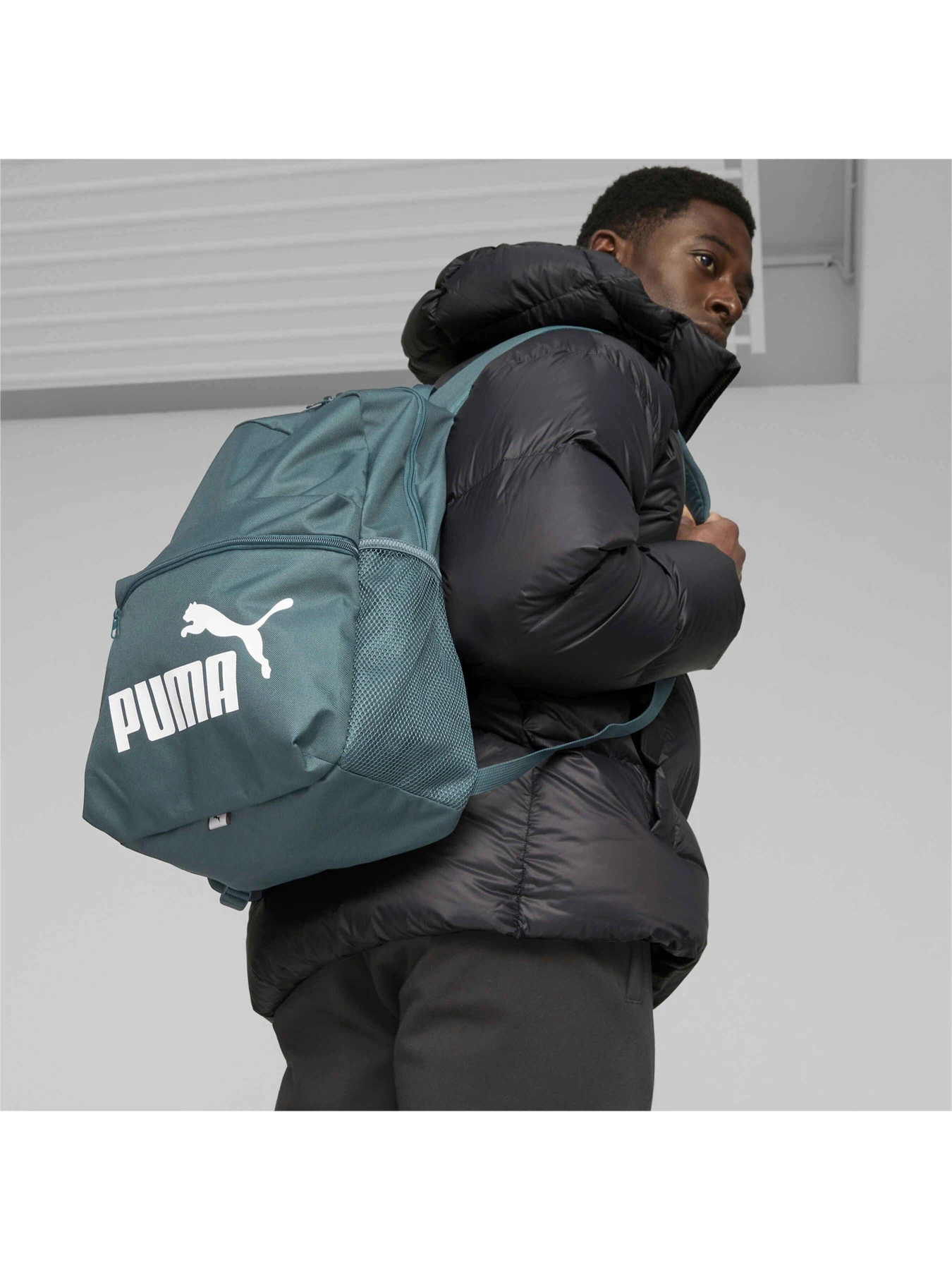 Рюкзаки PUMA Phase Backpack модель 079943 Рюкзаки PUMA Phase Backpack модель 079943 Фото