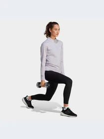 Худи и свитшоты Adidas Clima модель IC1825 Фото