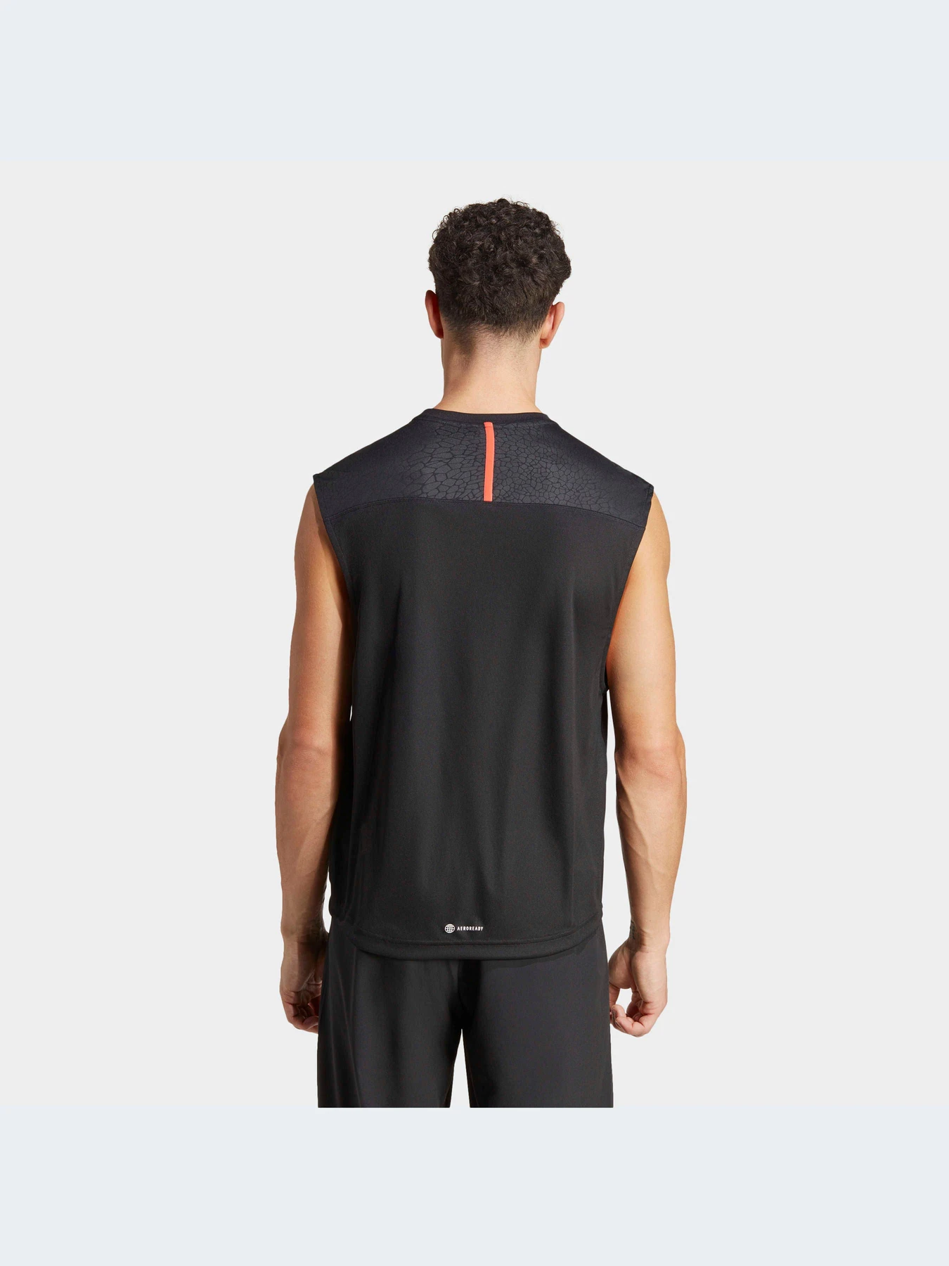 Футболки и поло Adidas модель IB7905 Футболки и поло Adidas модель IB7905 Фото