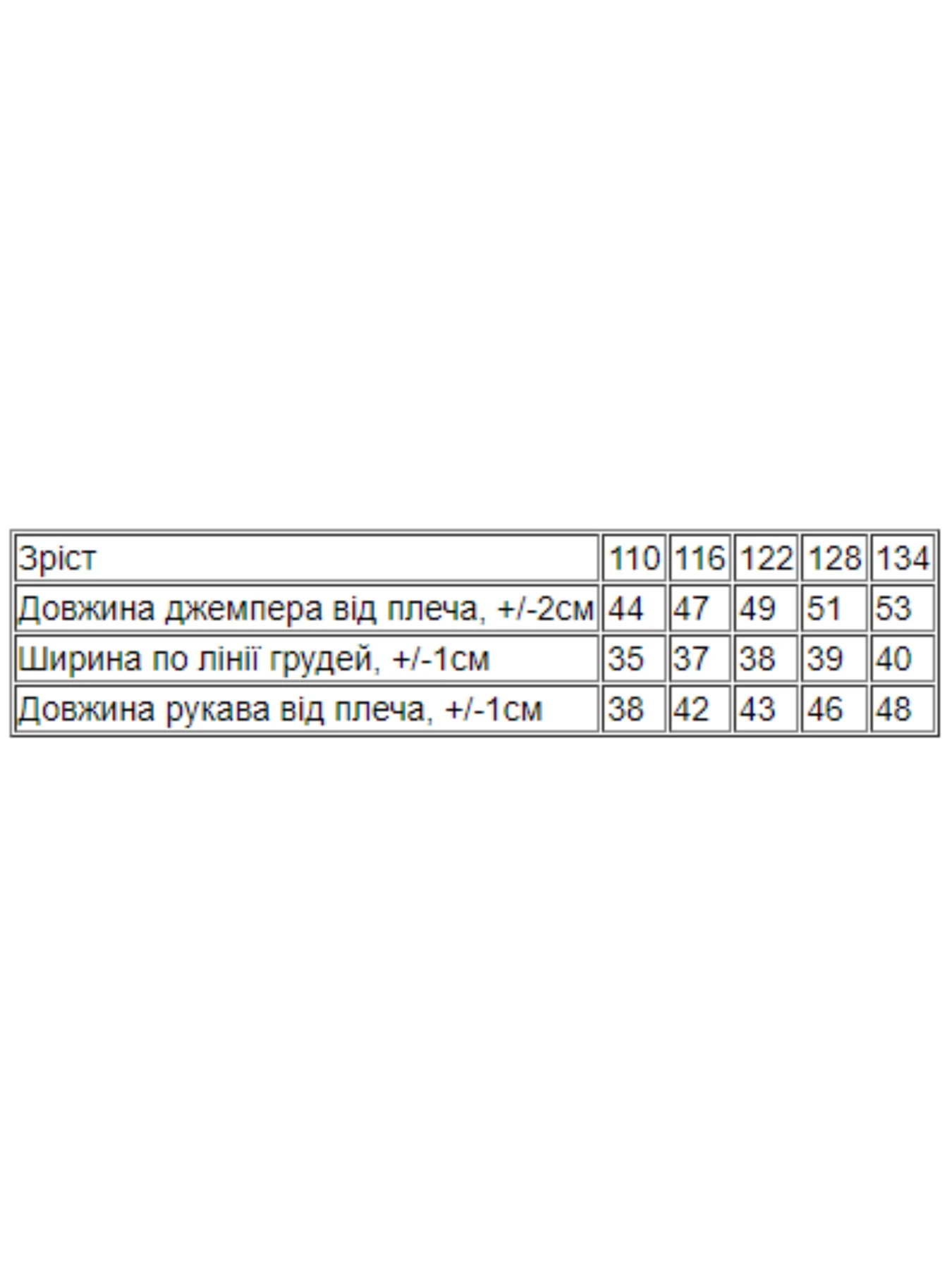 Худи и свитшоты Носи своє модель 6069-024-5-zrochki Фото