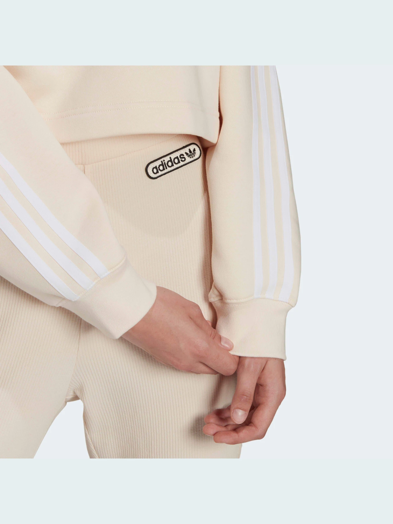 Худі та світшоти Adidas Adicolor модель HC2018 Фото