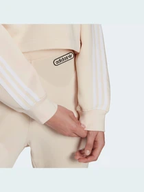 Худі та світшоти Adidas Adicolor модель HC2018 Фото