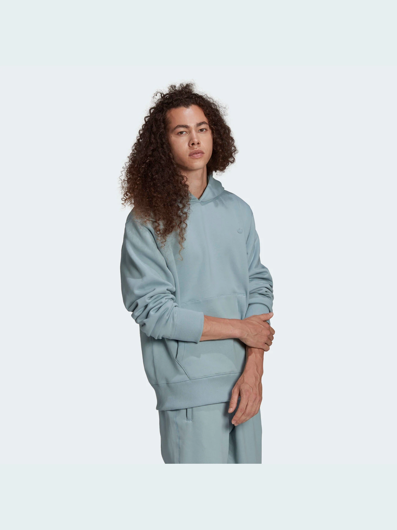 Худи и свитшоты Adidas Adicolor модель HC4522 Худи и свитшоты Adidas Adicolor модель HC4522 Фото