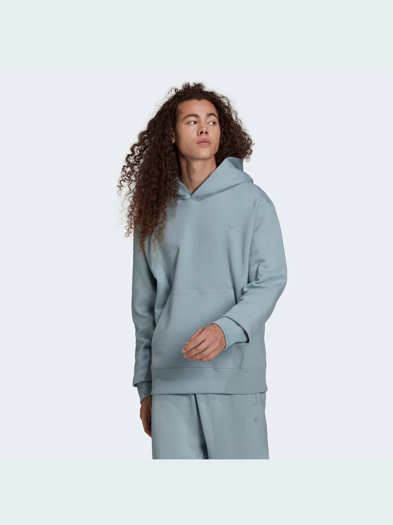 Худи и свитшоты Adidas Adicolor модель HC4522 Худи и свитшоты Adidas Adicolor модель HC4522 Фото