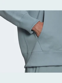 Худи и свитшоты Adidas Adicolor модель HC4522 Фото