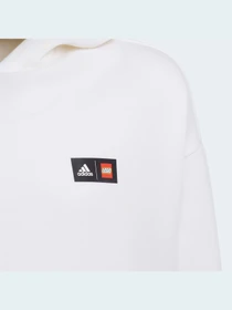 Худи и свитшоты Adidas модель H65334 Фото