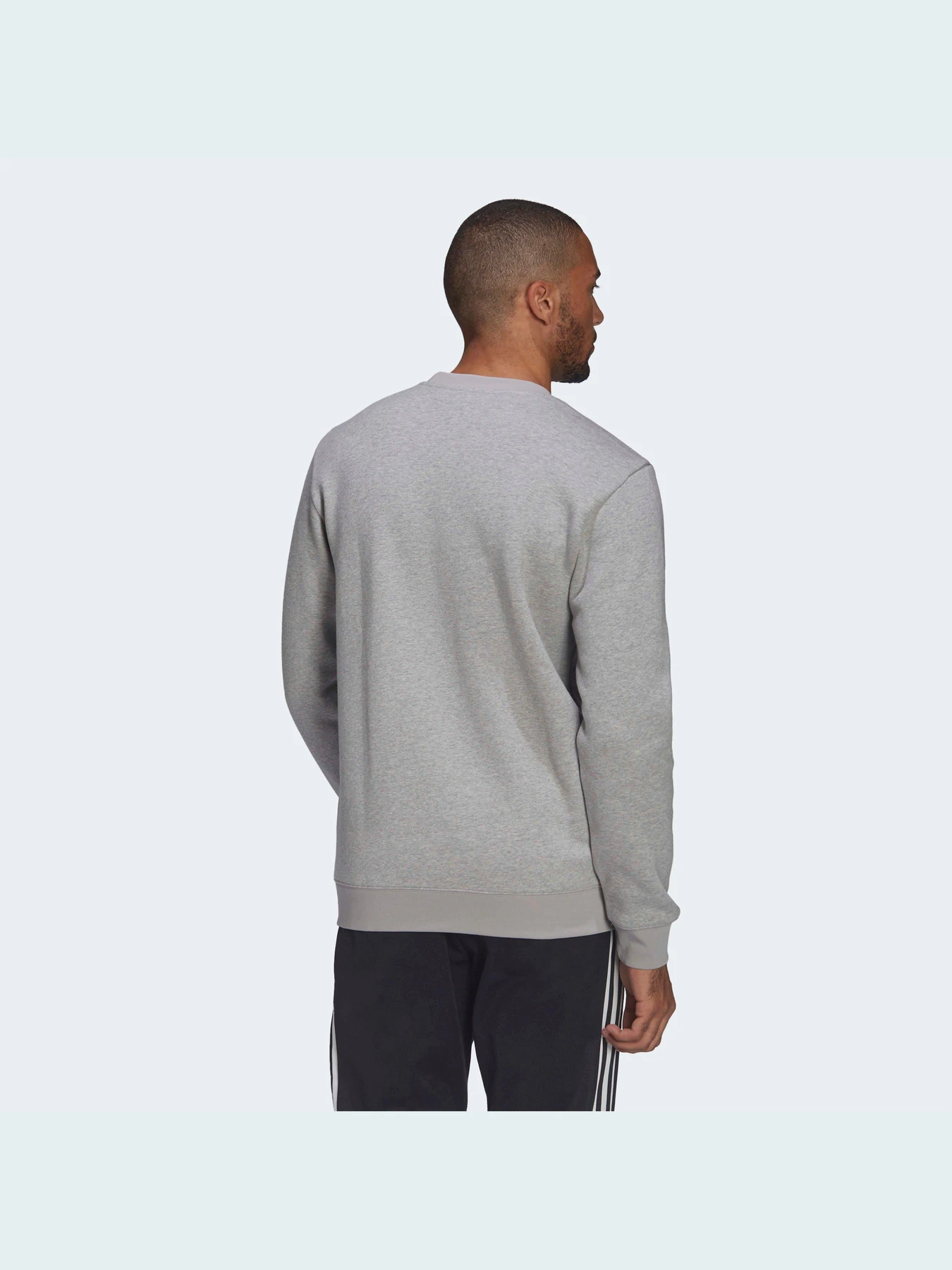 Худи и свитшоты Adidas Graphics модель HF4912 Худи и свитшоты Adidas Graphics модель HF4912 Фото
