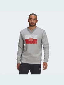 Худи и свитшоты Adidas Graphics модель HF4912 Фото