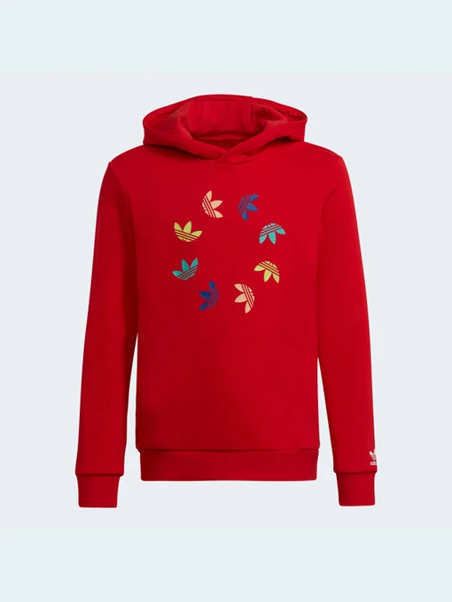 Худі та світшоти Adidas Adicolor модель HE4778 Фото