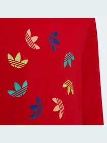 Худи и свитшоты Adidas Adicolor модель HE4778 Фото