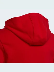 Худи и свитшоты Adidas Adicolor модель HE4778 Фото