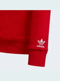 Худи и свитшоты Adidas Adicolor модель HE4778 Фото