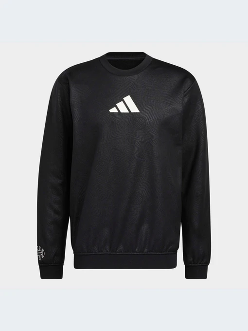 Худи и свитшоты Adidas модель HC7676 Фото